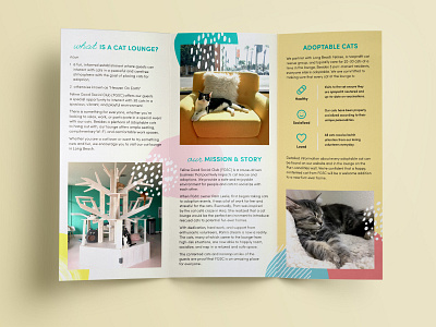 Feline Good Social Club brochure cats design layout