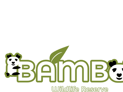 Bamboo Logo White Background branding design flat graphic design graphic design logo logo logo design concept panda panda bear panda logo pandas vector