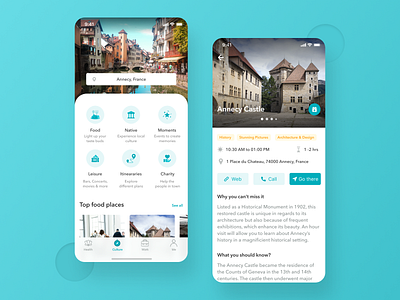 Travel app for a working professional consultation itinerary place shot travel travel app ui