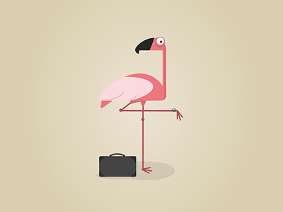 Flamingo