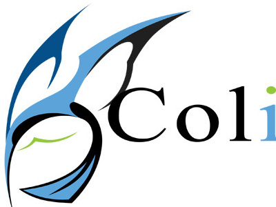 Colibri Logo art bird colibri company design logo ottbettina vector
