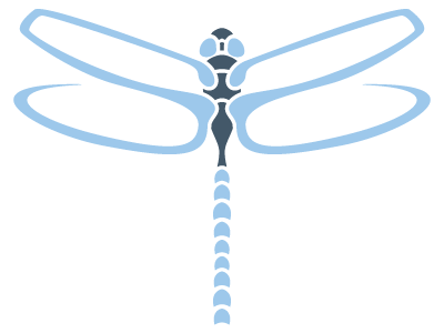 32 - Lake Dragonfly