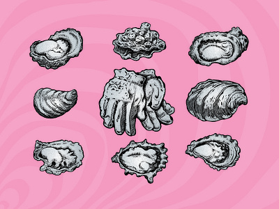 Oysters & Such black drawing gloves illustration oysters penandink pink silver
