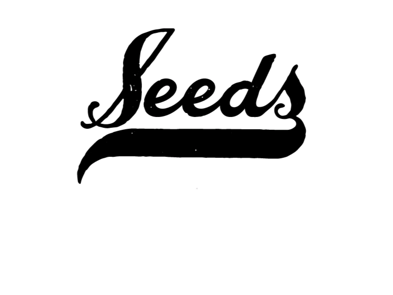 Seeds Grow gif illustration roots