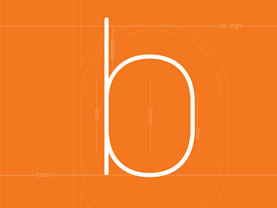 Letter Anatomy- B anatomy design letter anatomy letters logo design typeface