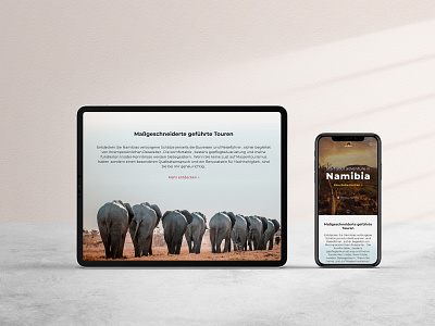 Namibia Tourism Information Site minimal namibia tourism travel ui ux