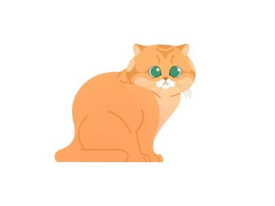 Chonk! 🐱 2d character branding charactedesign flat design illustraion illustrator kitten kitty minimal simple vector