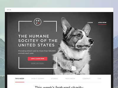 Friday5 Humane Society brand charity clean desktop signup splash splashpage webdesign website