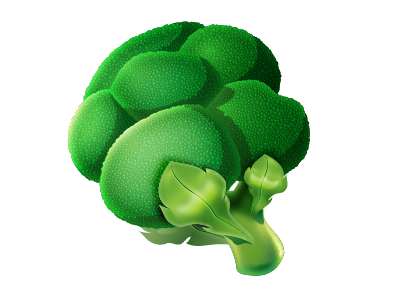 Broccoli Icon broccoli coaches loupe icon mac vegetable