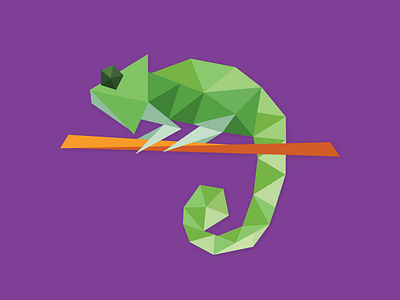 Chameleon chameleon flat illustration illustration low poly species in pieces