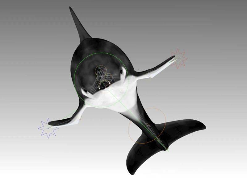 Dolphin Rig 3d 3d animation 3d dolphin animals animation cinema4d digitalart dolphin motion design motion graphics ocean rig vicepix visual