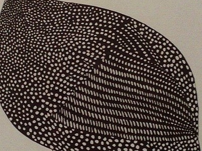 Guinea Fowl Detail Body