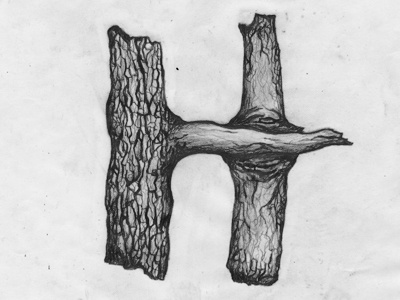 H Tree hand made illustration pencil type