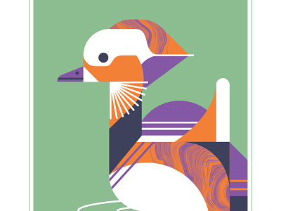 Mandarin Duck bird color design duck feather fly geometric illustration mandarin orange purple swim vector