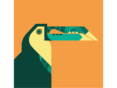 Keel Billed Toucan bird birds design fly geometric illustration orange texture toucan vector