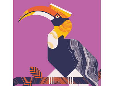 Great Hornbill animal bird bird illustration design flight geometric hornbill illustration marble texture vector