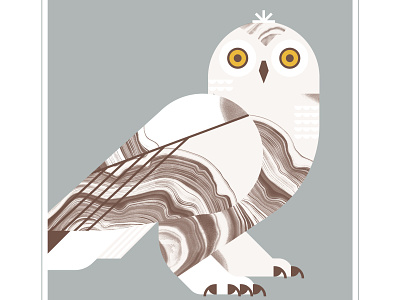 Snow Owl animal beak bird design eyes feather flight illustration owl owls talon texture vector