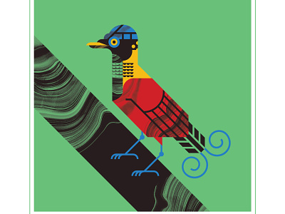 Wilson's Bird of Paradise animal beak bird blue branch character design eye fly illustration paradise talon texture vector