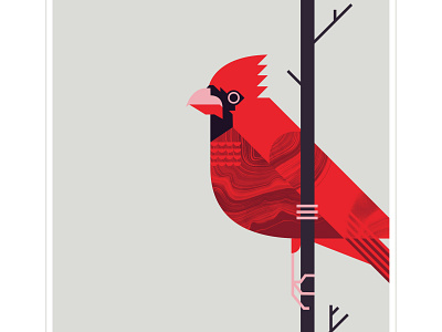 Cardinal animal bird branch cardinal feather flight fly illustration red texture tree winter