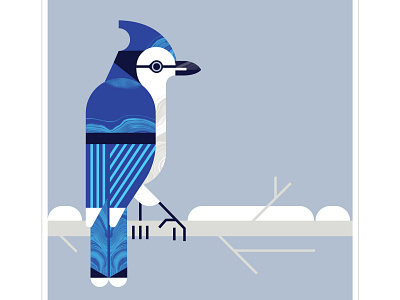 Blue Jay bird blue blue jay character design fly geometric illustration snow texture vector