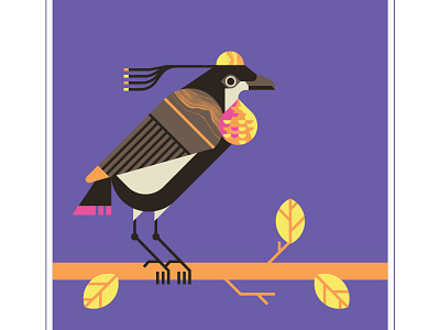 Carola's parotia bird character dance design fly illustration parotia purple texture vector