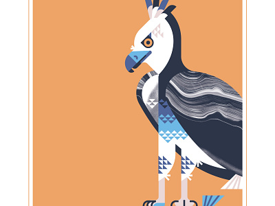 Harpy Eagle animal bird design fly geometric illustration texture vector