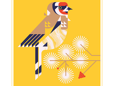 European Goldfinch animal beak bird character design fly illustration perch red texture vector yellow