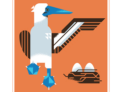 Blue Footed Booby Bird animal beak bird blue booby character design eggs flight illustration nest texture vector wing