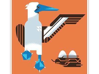 Blue Footed Booby Bird animal beak bird blue booby character design eggs flight illustration nest texture vector wing