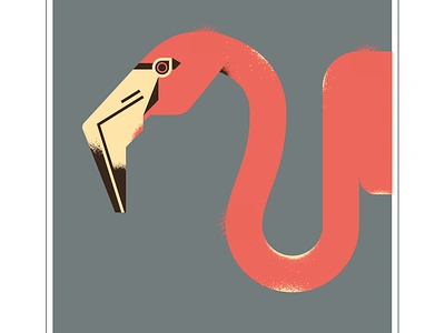 American Flamingo animal beak bird design flamingo illustration illustrator neck pink spraypaint texture vector zoo