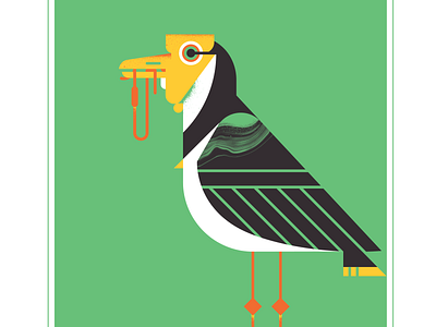 Masked Lapwing animal audubon bird character design fly geometric illustration lapwing plover texture vector