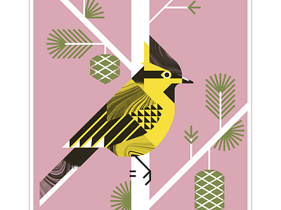 Black Lored Tit animal audubon aviary bird design flight fly geometric illustration pinecone pink texture vector yellow