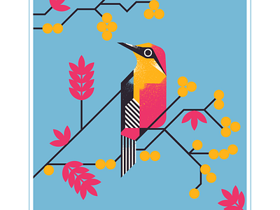 yellow fronted woodpecker animal audubon berry bird blue character design fly geometric illustration pink texture vector