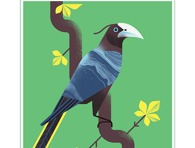 Chestnut Headed oropendula animal bird blue character design fly geometric illustration texture vector