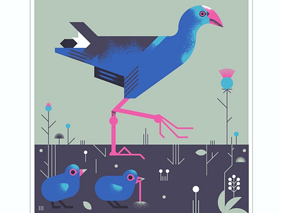 African Swamp-hen animal bird blue chicks design fly geometric illustration pink texture vector
