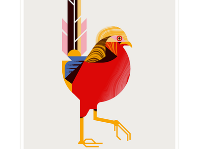 golden pheasant animal bird character design eye feather fly geometric illustration red texture vector