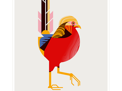 golden pheasant