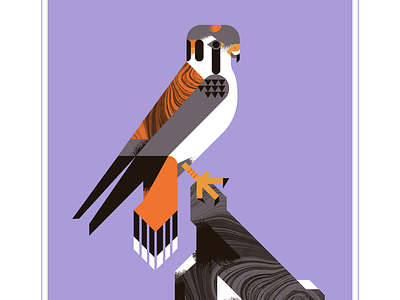 American Kestrel animal bird character design falcon falcons fly geometric illustration kestrel orange psychedelic purple retro rock texture vector