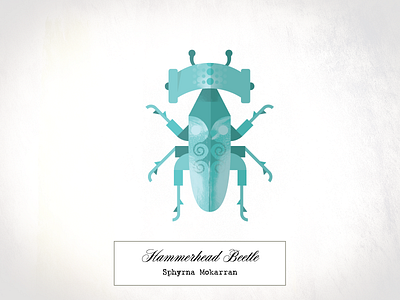 Hammerhead Beetle beetle bug collection crawl illustration insect texture vase vector