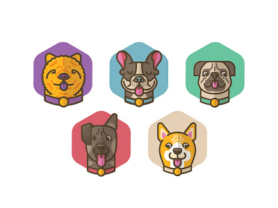 Dogs bulldog chow dog frenchie german shepherd icon illustration jindo pug vector