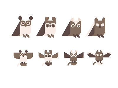 Owls for a kids book