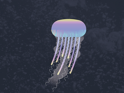 Jellyfish