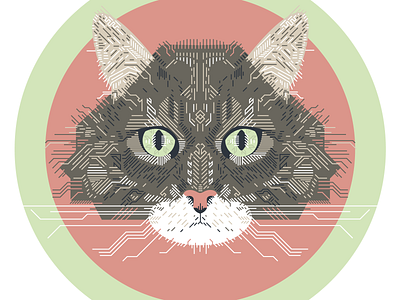 Kitty Illustration
