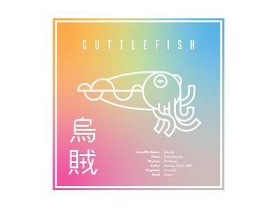 Cuttlefish | Fav Animal Warmup animal color colorful cuttlefish icon iconography illustration marine ocean rainbow sea