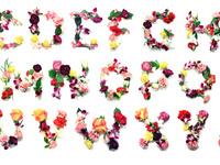 Flower Lettering by Lane Kinkade | Dribbble | Dribbble