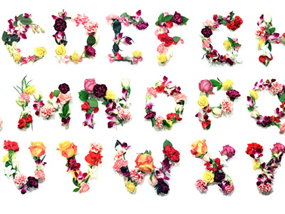 Flower Lettering character colorful flora floral flower font letter lillys nature orchid pink rose stem type typography