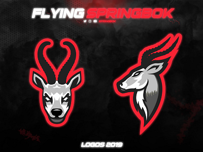 Flying Springbok Logos design esports esportsdesign esportslogo flying springbok illustration logo logodesign mascot vector