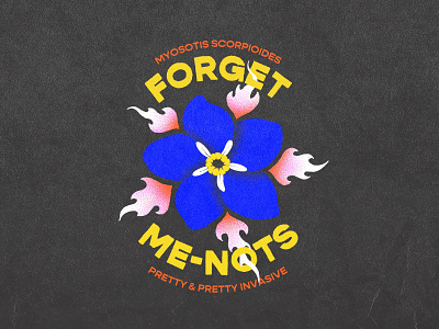 Forget-Me-Nots