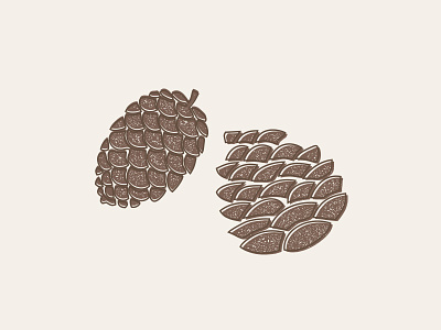 Pine Cones