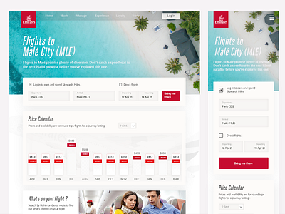 Airline Landing Page Concept - (Best Fare component)